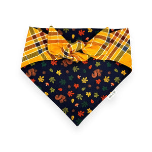 Squirrelly Tie On Bandana