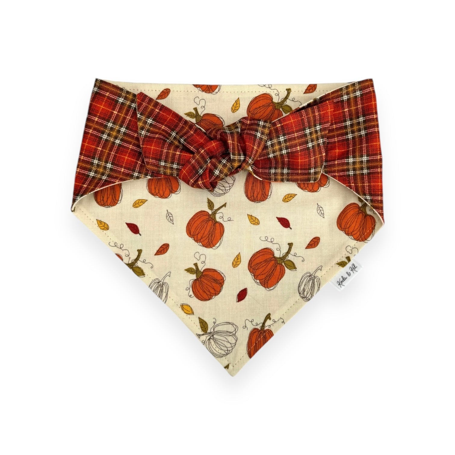 Pumpkin Patch Tie On Bandana