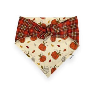 Pumpkin Patch Tie On Bandana