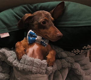 Detroit Football Bow Tie