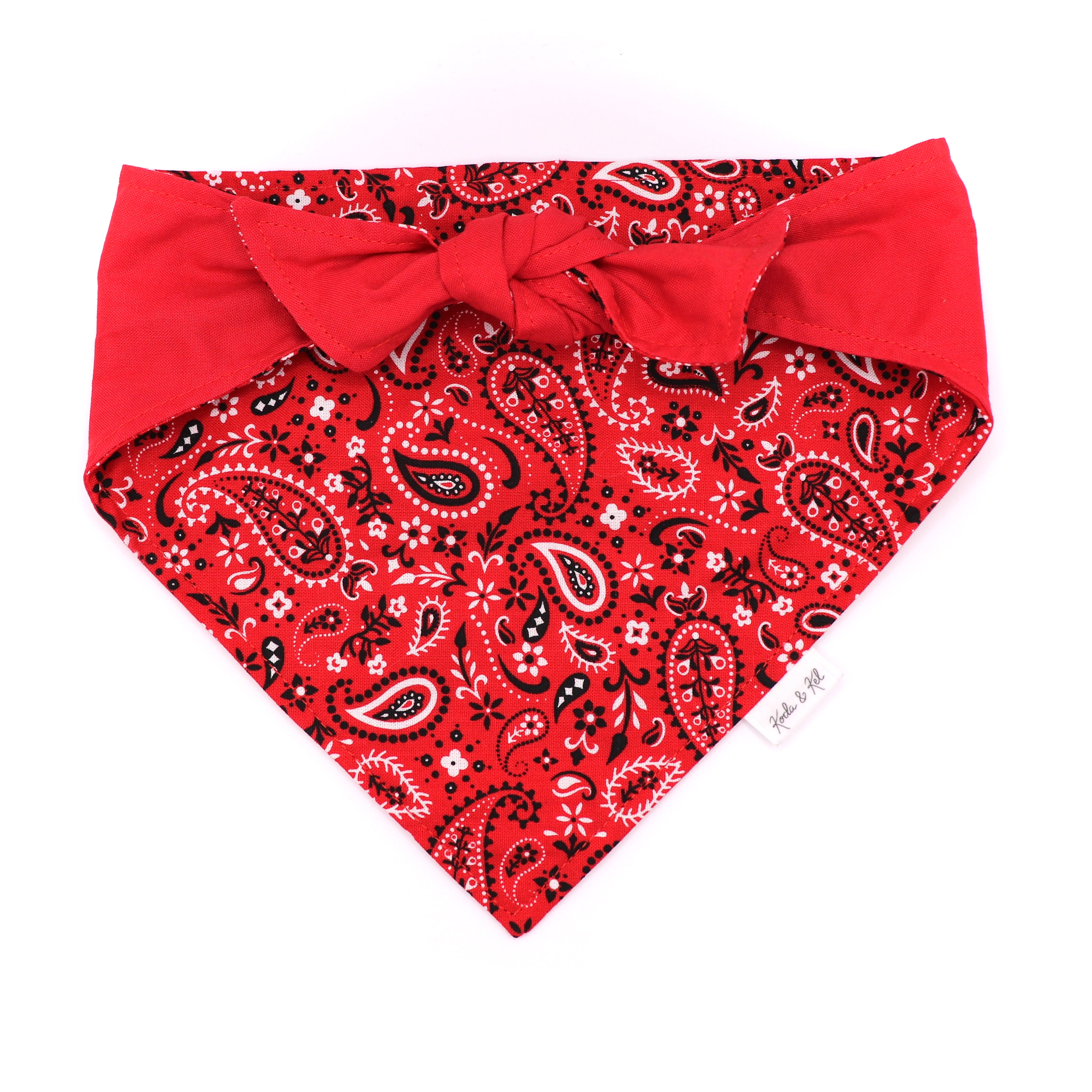 Red Paisley Tie & Snap Bandana
