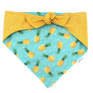 Pineapple Tie & Snap Bandana